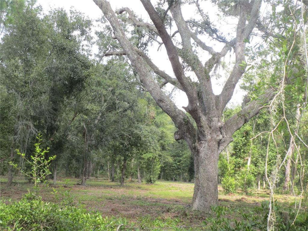 00 CASTLEWOOD ROAD, SEFFNER, FL — photo 2 of 5