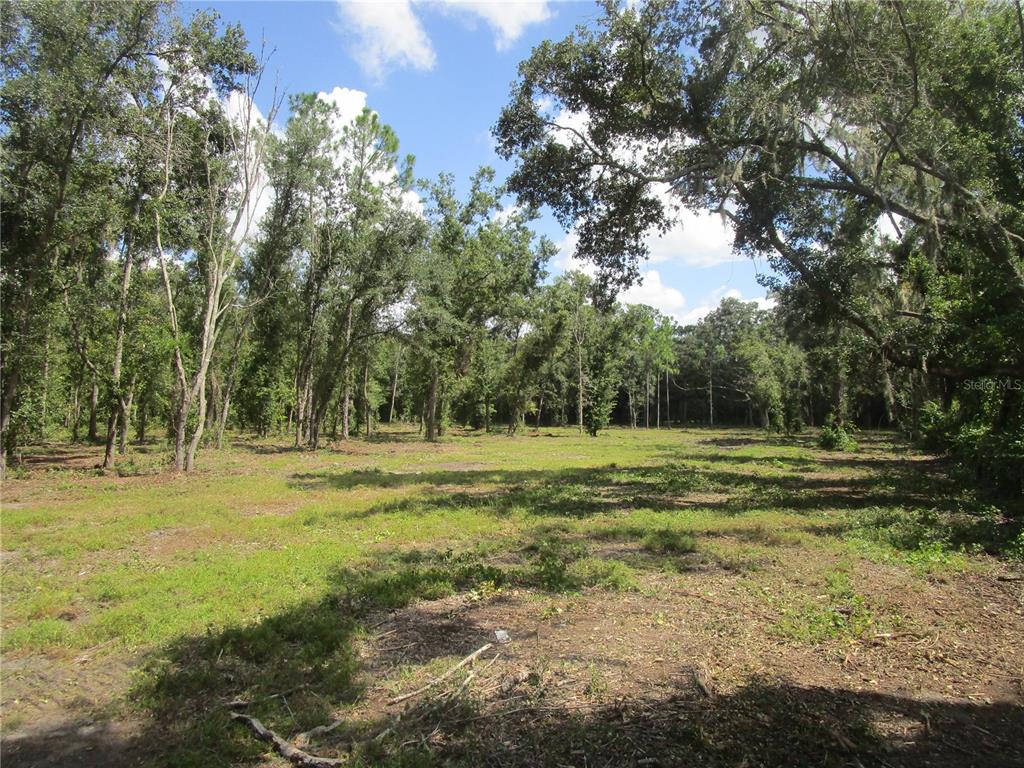 00 CASTLEWOOD ROAD, SEFFNER, FL — photo 3 of 5