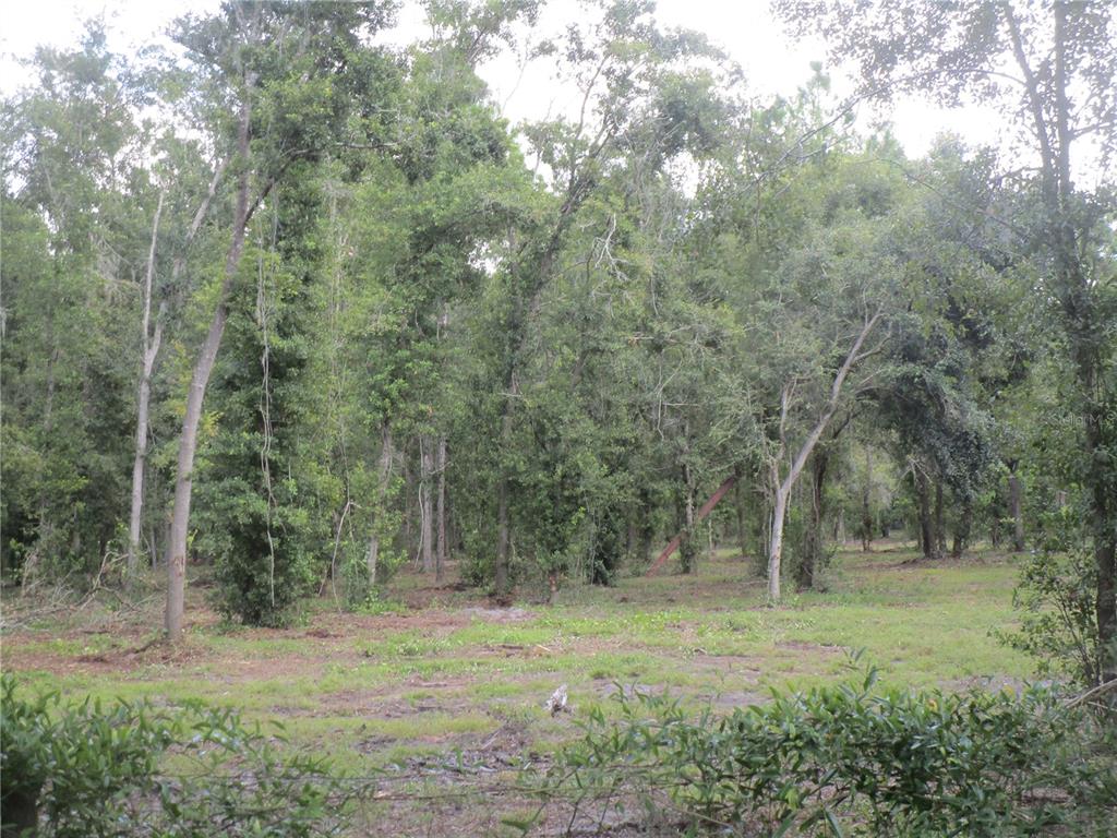 00 CASTLEWOOD ROAD, SEFFNER, FL — photo 4 of 5