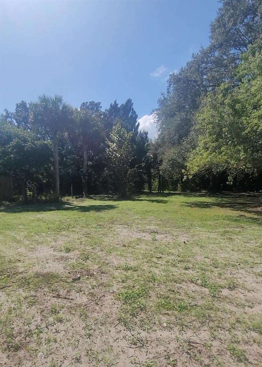 A grassy, partially cleared lot is surrounded by mature trees and palm trees — 8511 64th Court, Vero Beach FL 32967, VERO BEACH, FL