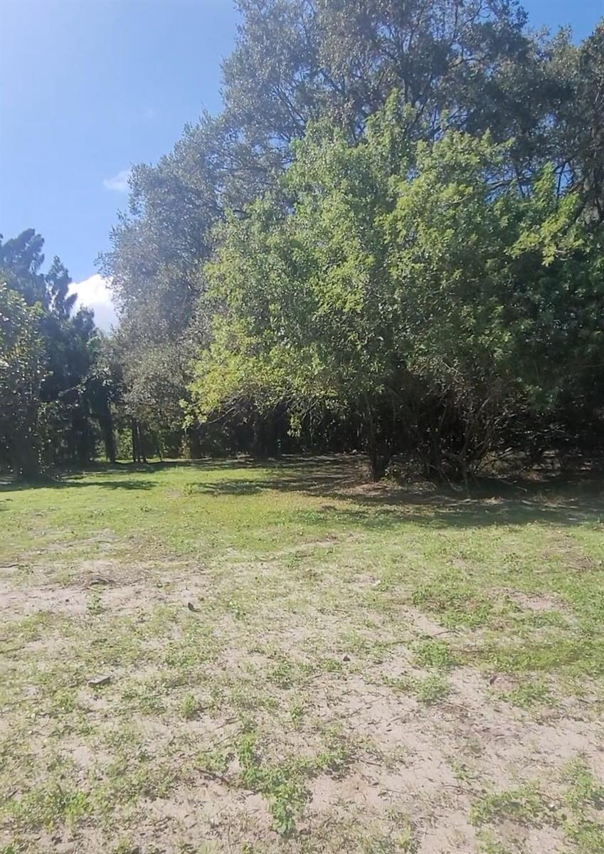 A grassy, sandy lot bordered by a dense line of mature trees under a blue sky — 8511 64th Court, Vero Beach FL 32967, VERO BEACH, FL