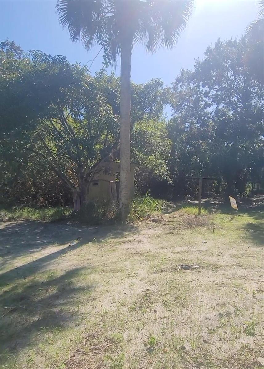A tall palm tree stands in front of a small, weathered structure amidst wooded grounds — 8511 64th Court, Vero Beach FL 32967, VERO BEACH, FL