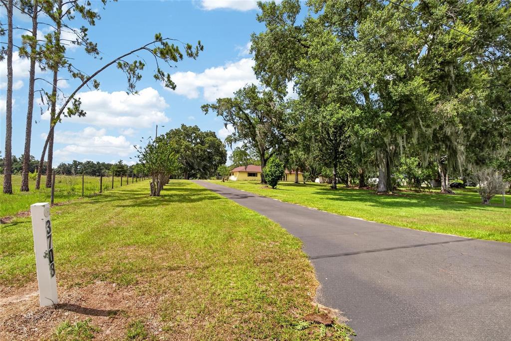 A paved driveway leads to a yellow house surrounded by large trees and grassy fields — 3708 JOE SANCHEZ RD, PLANT CITY, FL