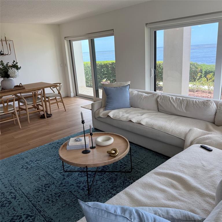 A living room with a blue rug, white sofa, and ocean views through sliding glass doors — 306 MARINER DRIVE UNIT 306, TARPON SPRINGS, FL