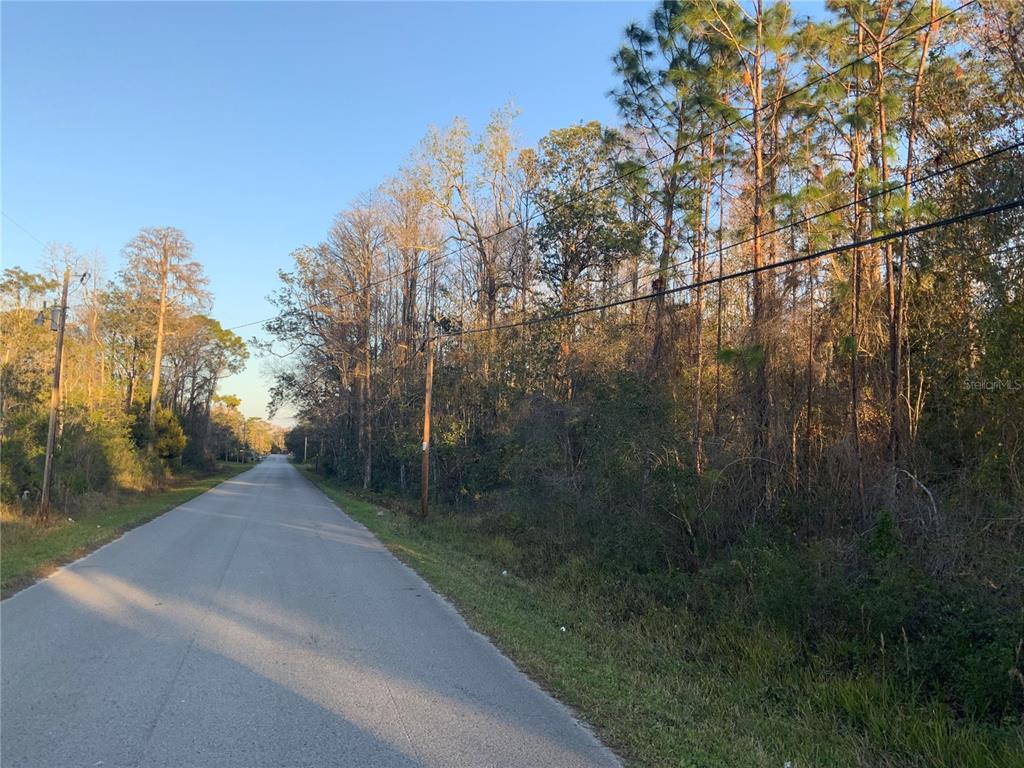 A paved road runs alongside a wooded lot with utility poles and overhead power lines — 12842 MIDVALE AVENUE, NEW PORT RICHEY, FL