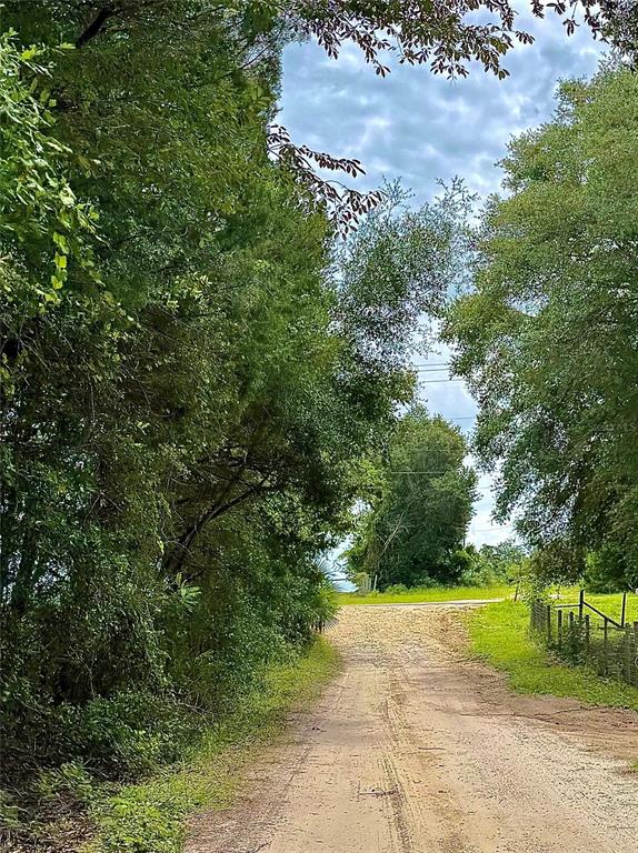 A dirt road leads through a wooded area toward an open grassy space — 12790 NE 78 TERRACE, BRONSON, FL