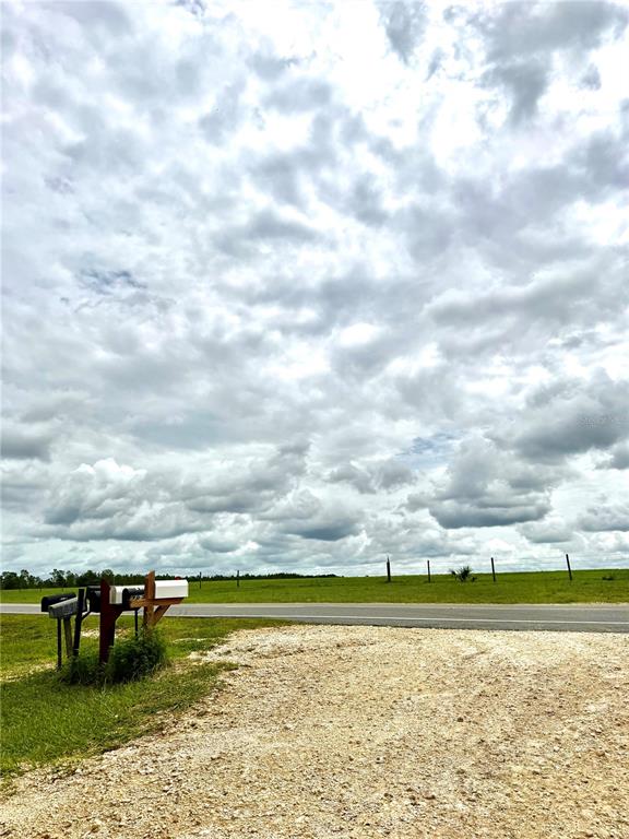 A gravel driveway leads to a roadside with mailboxes and an open, grassy field — 12790 NE 78 TERRACE, BRONSON, FL