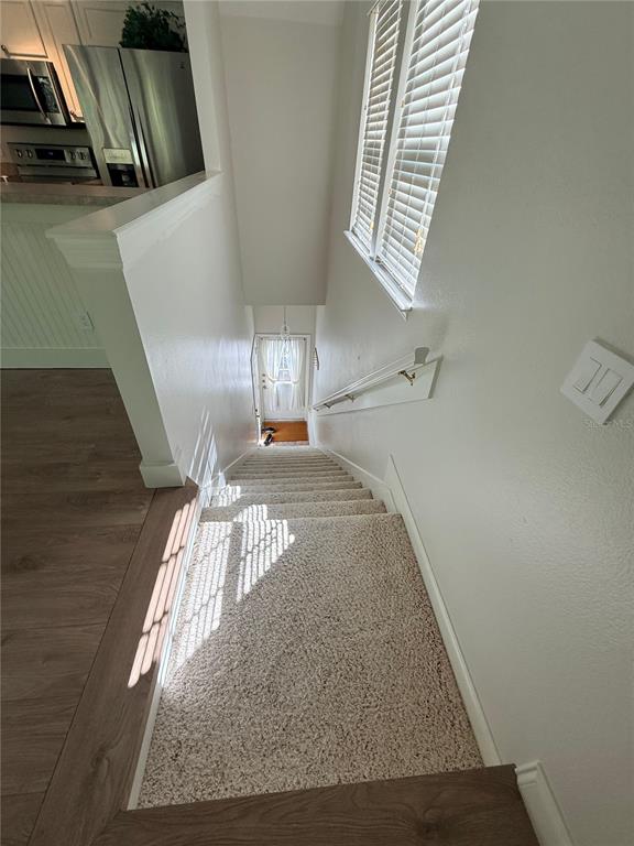 A carpeted staircase leads down to a front entryway with a window and light-colored walls — 1005 KESTREL COURT UNIT B, CELEBRATION, FL