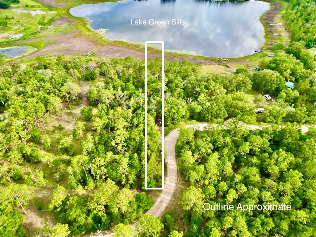 An aerial view shows a rectangular property outline extending from a dirt road to a lake — 125 SILVER DOLLAR POND ROAD, HAWTHORNE, FL