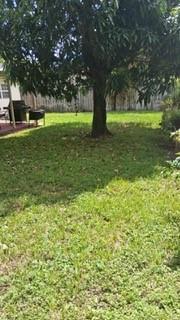 A grassy backyard features a large tree and a small patio area with a grill — 5620 Monroe Street, Hollywood FL 33023, HOLLYWOOD, FL