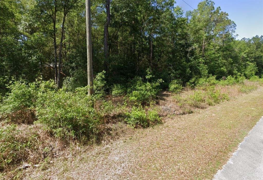 A utility pole stands beside a wooded lot with low-lying brush and grass — 00 SW STARLING DRIVE, DUNNELLON, FL