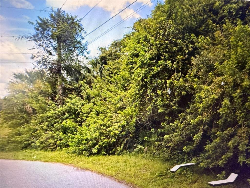 A dense, overgrown wooded lot sits along the edge of a paved road — BARTIGON AVENUE, NORTH PORT, FL
