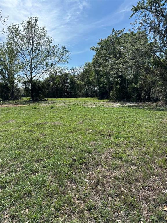 A grassy, open lot is surrounded by mature trees under a bright blue sky — 0000 STATE ROAD 19, GROVELAND, FL