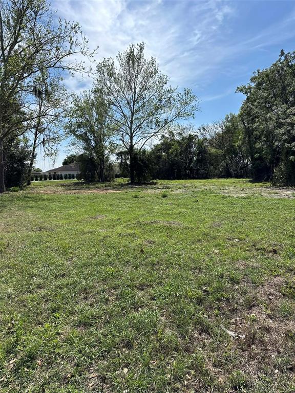 A grassy, undeveloped lot features several mature trees under a bright blue sky — 0000 STATE ROAD 19, GROVELAND, FL
