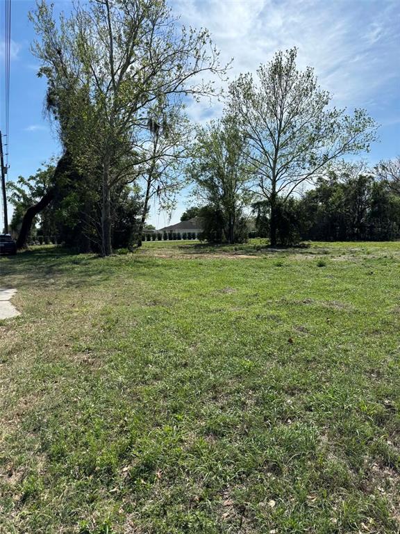 A grassy, vacant lot features several large trees under a blue sky — 0000 STATE ROAD 19, GROVELAND, FL