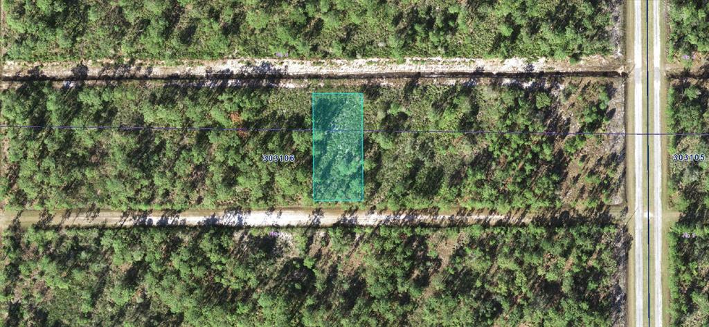 An aerial view shows a rectangular plot of land highlighted in teal within a wooded area — 412 CAMELLIA DRIVE, INDIAN LAKE ESTATES, FL