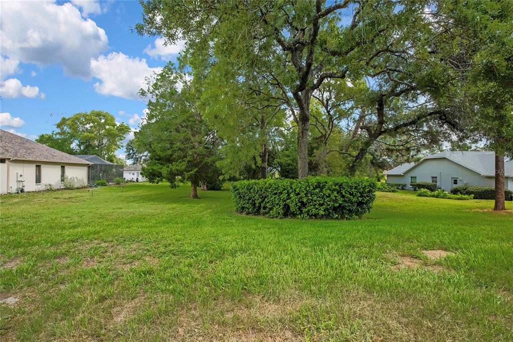 A grassy backyard features a large tree, a manicured hedge, and neighboring houses — ORANGEWOOD COURT, SPRING HILL, FL