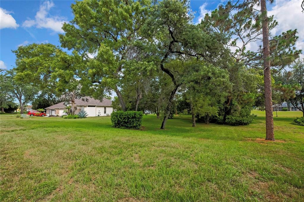 A grassy yard with mature trees and a house in the background under a sky — ORANGEWOOD COURT, SPRING HILL, FL