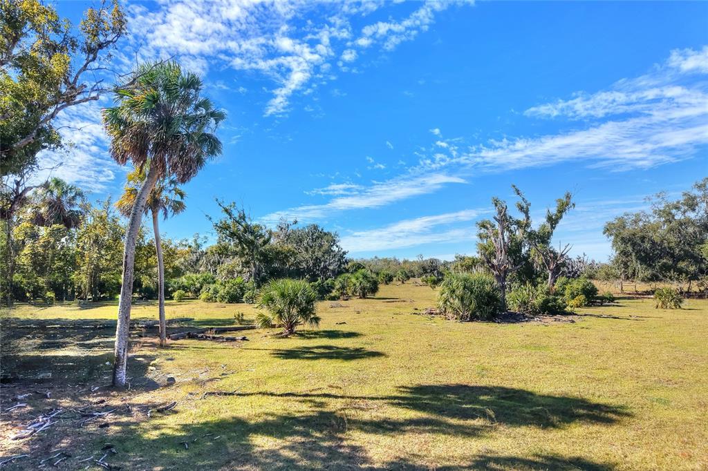 A grassy field features scattered palm trees and native vegetation under a blue sky — 0 CARLTON LAKE ROAD, WIMAUMA, FL