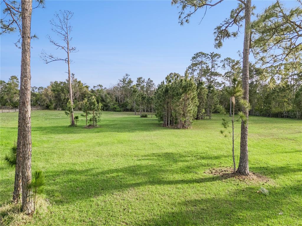 A large, grassy, open lot features scattered pine trees under a clear blue sky — 110 WILD HORSE RUN, DELTONA, FL