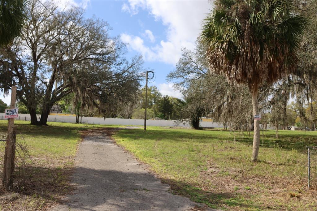 A paved driveway leads through a grassy lot with large trees and a white fence — 11234 SE 121ST LANE ROAD, BELLEVIEW, FL