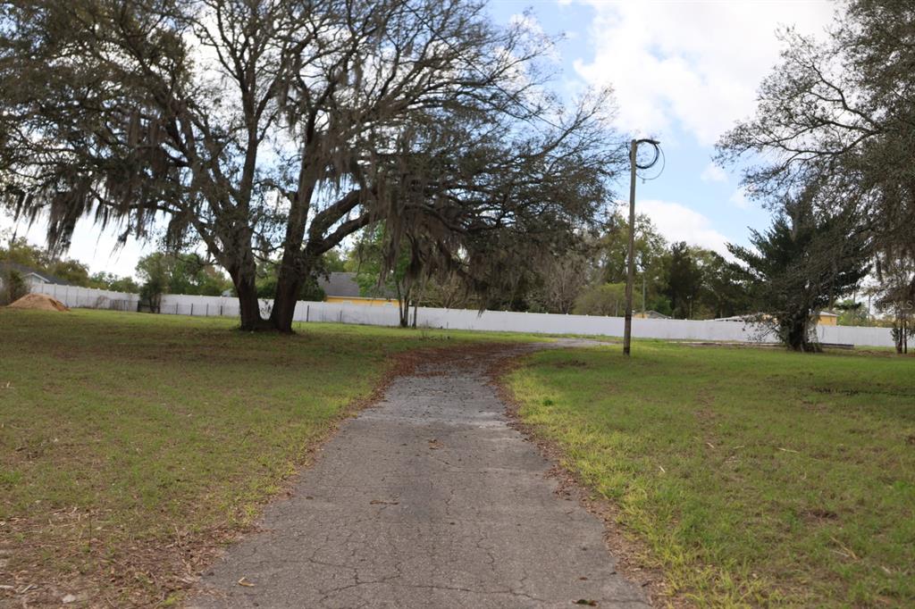 A paved driveway leads through a grassy lot toward a large tree and white fence — 11234 SE 121ST LANE ROAD, BELLEVIEW, FL