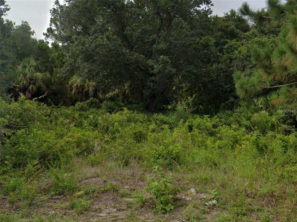 A dense, overgrown wooded lot with various trees, shrubs, and ground vegetation — SKILE ROAD, NORTH PORT, FL