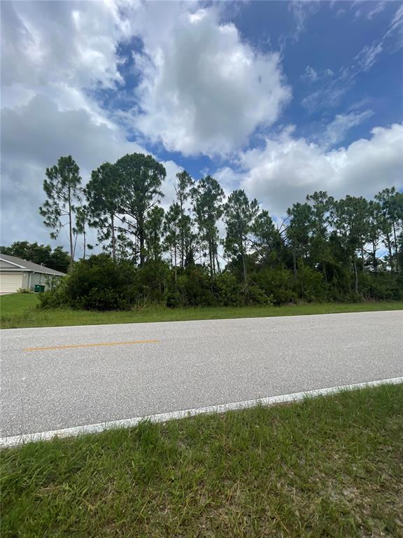 A vacant, grassy lot with trees and shrubs sits next to a paved road — 3515 GILLOT BOULEVARD, PORT CHARLOTTE, FL