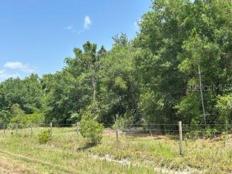 A wire fence borders a grassy field in front of a dense line of trees — 21041 GRANVILLE ROAD, NORTH FORT MYERS, FL