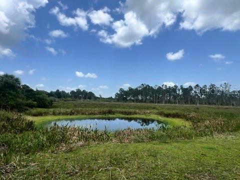 A small pond sits in the foreground of a grassy field with trees in the distance — 21041 GRANVILLE ROAD, NORTH FORT MYERS, FL