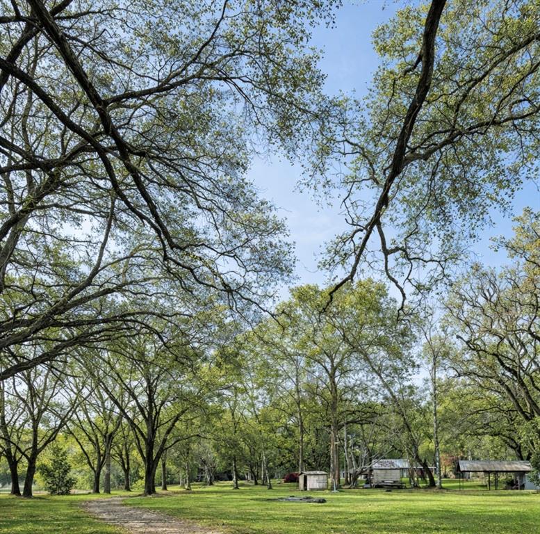 A gravel path leads through a grassy clearing shaded by many large, mature trees — 26250 BLACKJACK STREET, BROOKSVILLE, FL
