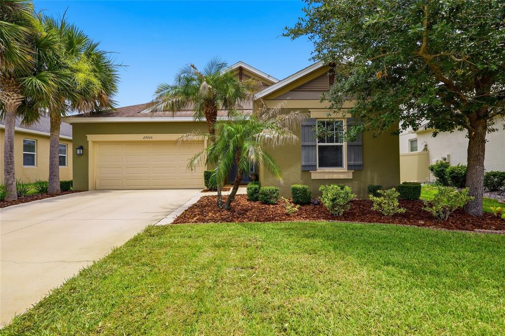 27035 CAROLINA ASTER DRIVE