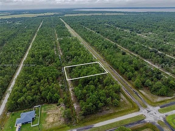 An aerial view shows a rectangular plot of land outlined in white amidst wooded terrain — 805 JAPONICA AVENUE, INDIAN LAKE ESTATES, FL