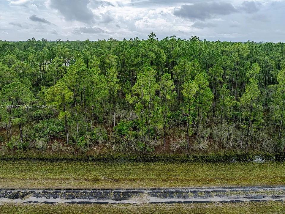An aerial view shows a dirt road bordering a grassy area and a dense forest — 805 JAPONICA AVENUE, INDIAN LAKE ESTATES, FL