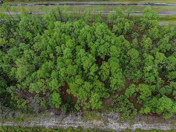 An aerial view shows a dense, wooded lot bordered by a dirt road and vegetation — 805 JAPONICA AVENUE, INDIAN LAKE ESTATES, FL