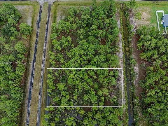 An aerial view shows a rectangular plot of land covered in trees and vegetation — 805 JAPONICA AVENUE, INDIAN LAKE ESTATES, FL