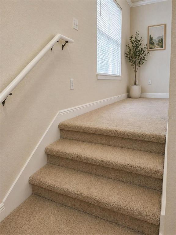 A carpeted staircase leads to a landing with a window, a potted plant, and wall art — 131 SOUTHERN PECAN CIRCLE UNIT 201, WINTER GARDEN, FL