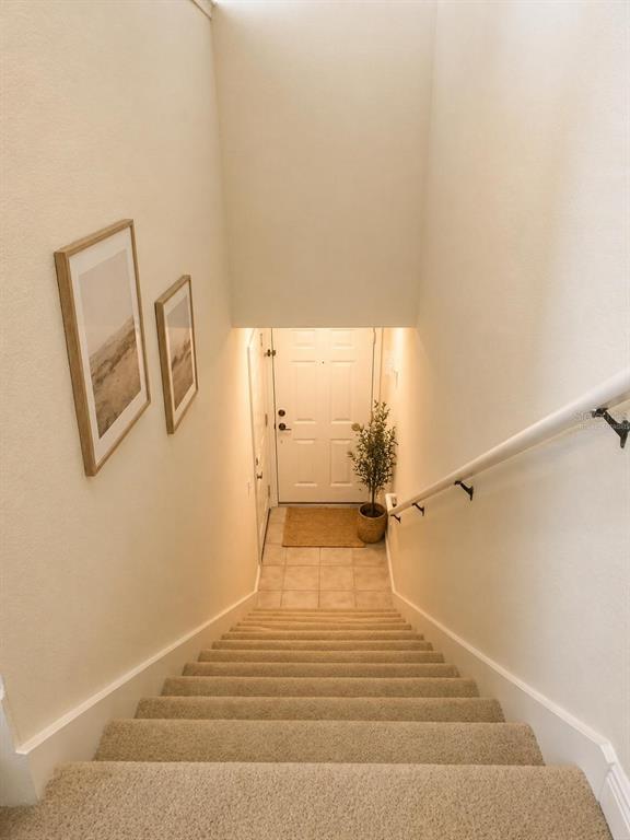 A carpeted staircase leads down to a white front door and a small entryway — 131 SOUTHERN PECAN CIRCLE UNIT 201, WINTER GARDEN, FL