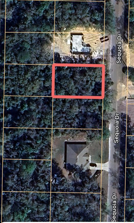 An aerial map view shows a vacant, wooded residential lot outlined in red on Sequoia Drive — 0 SEQUOIA DRIVE, OCKLAWAHA, FL