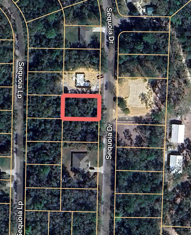 This is an aerial map showing a vacant, wooded residential lot highlighted in red — 0 SEQUOIA DRIVE, OCKLAWAHA, FL