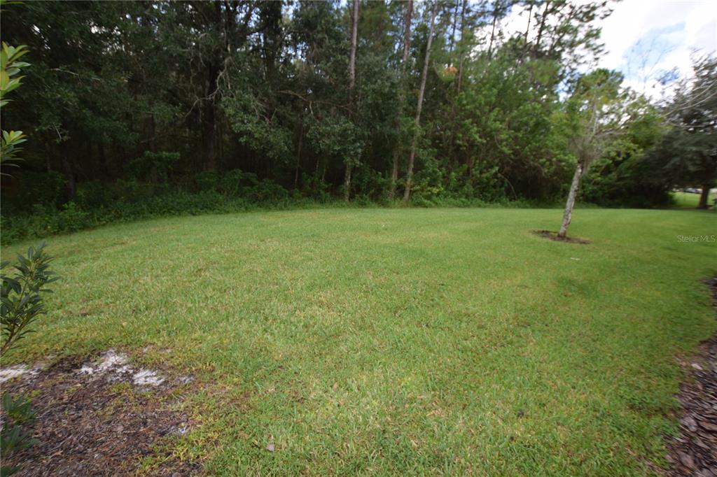 A grassy backyard features a single tree with a wooded area in the background — 9796 TIVOLI VILLA DRIVE, ORLANDO, FL