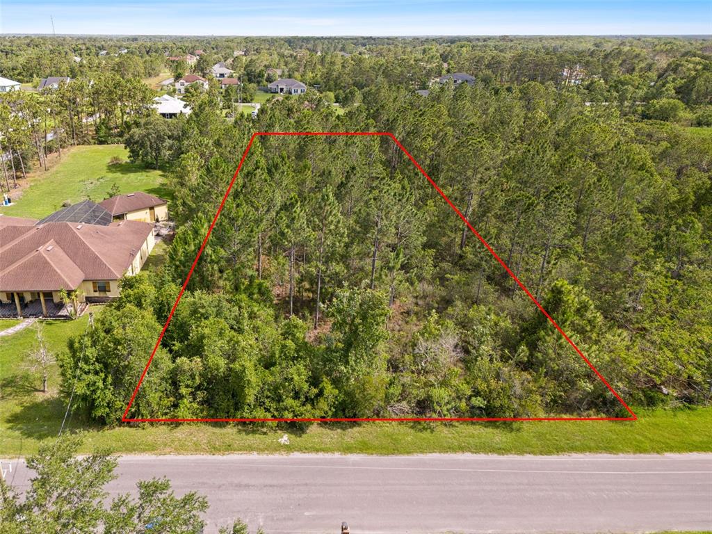 An aerial view shows a vacant, wooded residential lot outlined in red along a paved road — ROBERTSON STREET, ORLANDO, FL