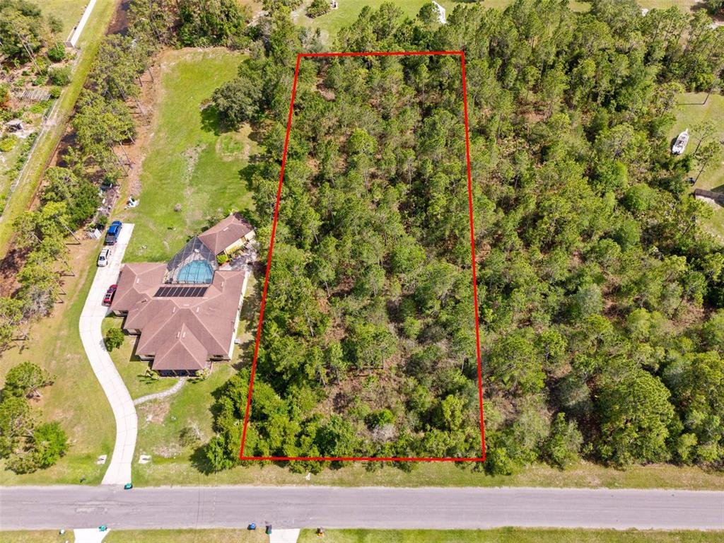 An aerial view shows a rectangular, wooded vacant lot outlined in red next to a house — ROBERTSON STREET, ORLANDO, FL