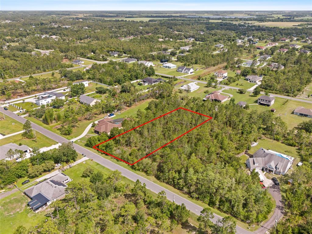 An aerial view shows a rectangular, wooded vacant lot outlined in red along a paved road — ROBERTSON STREET, ORLANDO, FL