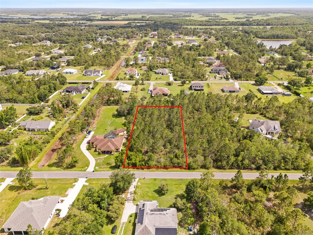 An aerial view shows a rectangular, wooded vacant lot outlined in red along a road — ROBERTSON STREET, ORLANDO, FL