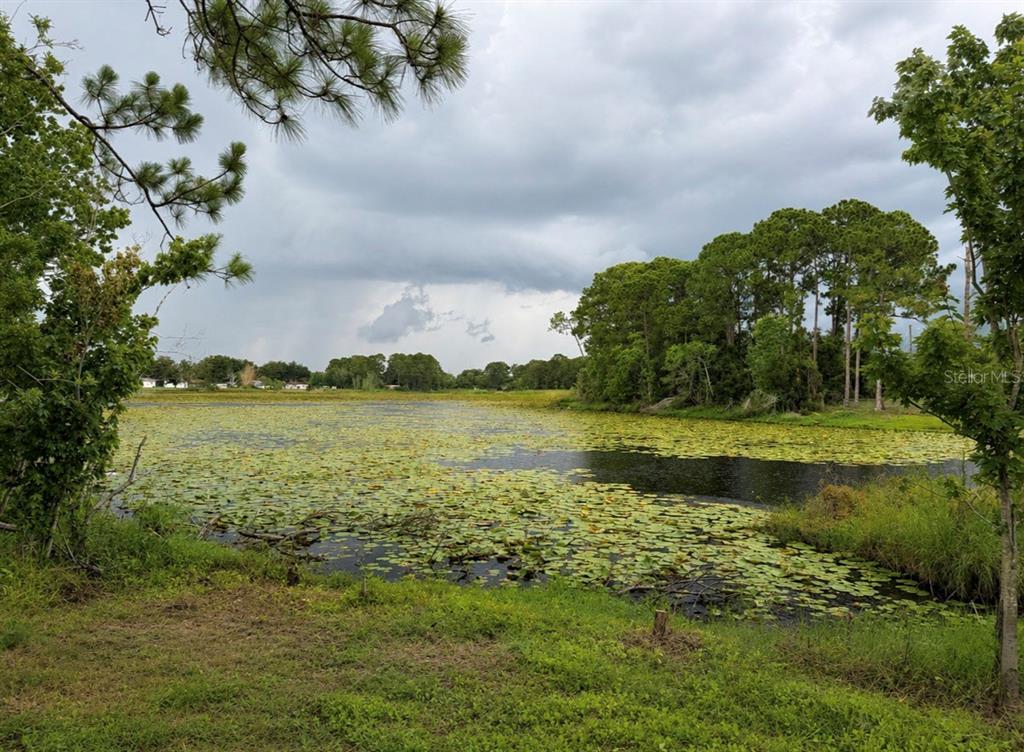 A pond covered in lily pads is surrounded by trees under a cloudy sky — 1780 CONVERSE COURT, DELTONA, FL