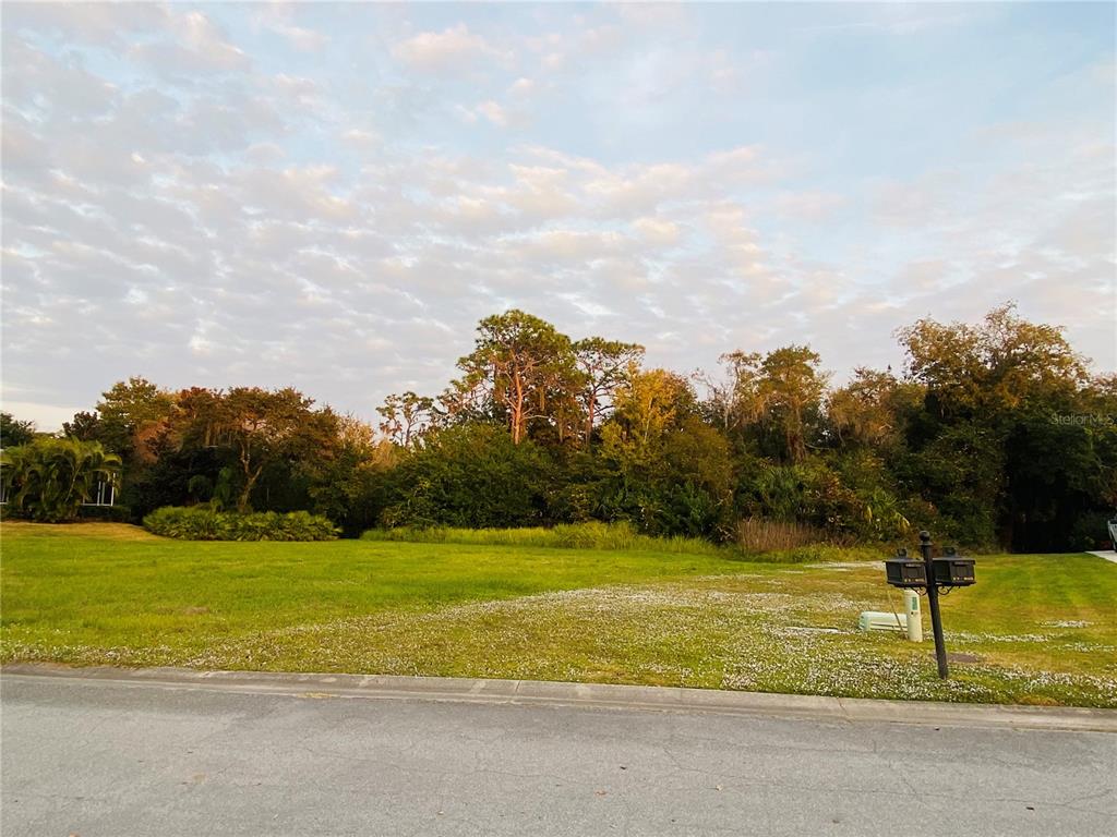 A vacant, grassy residential lot is bordered by dense trees under a cloudy sky — 617 130TH COURT NE, BRADENTON, FL