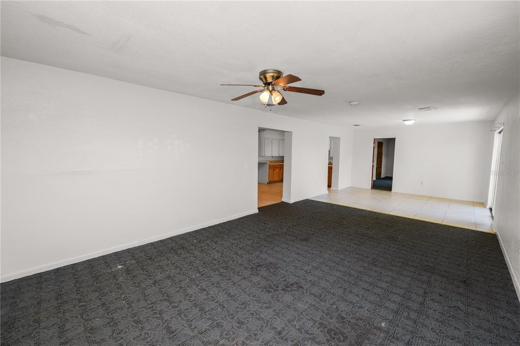 A living room features dark gray patterned carpeting, white walls, and a ceiling fan — 2170 ROHR DRIVE, BARTOW, FL
