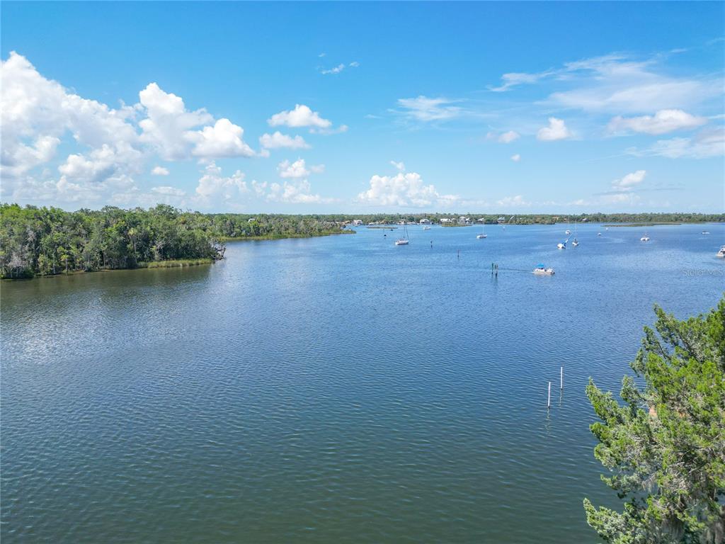 A wide view of a calm river with several boats and a forested shoreline — 838 SW KINGS BAY DRIVE, CRYSTAL RIVER, FL