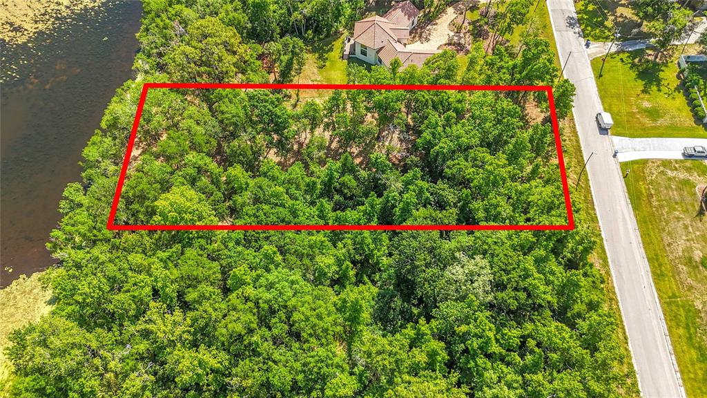 An aerial view shows a rectangular wooded lot bordered by a road and a lake — LOT 19  LAKE HILLS DR., RIVERVIEW, FL